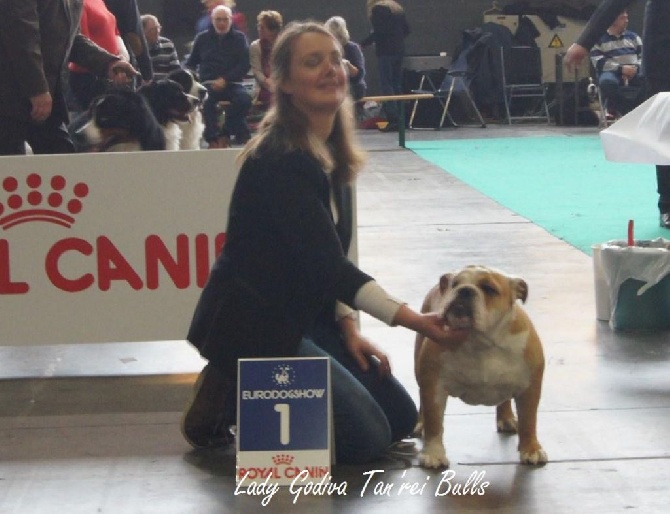 Tan'rei Bulls - Lady Godiva Best Puppy et 5ème au Ring d'honneur à l'EURODOGSHOW