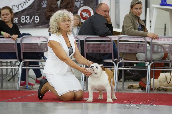 Tan'rei Bulls - Best Puppy in Internationale Exhibition in Russia