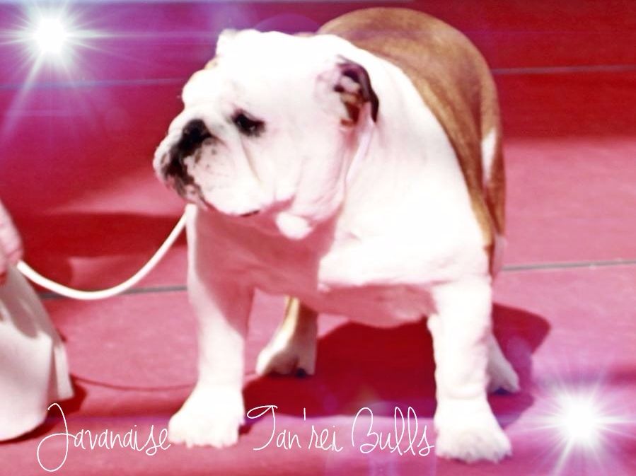 Tan'rei Bulls - Trop fier de notre poupée Russe <3