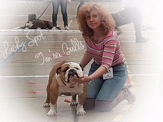 Tan'rei Bulls - Lucky Spot CACS & BOB à Châteauroux !!