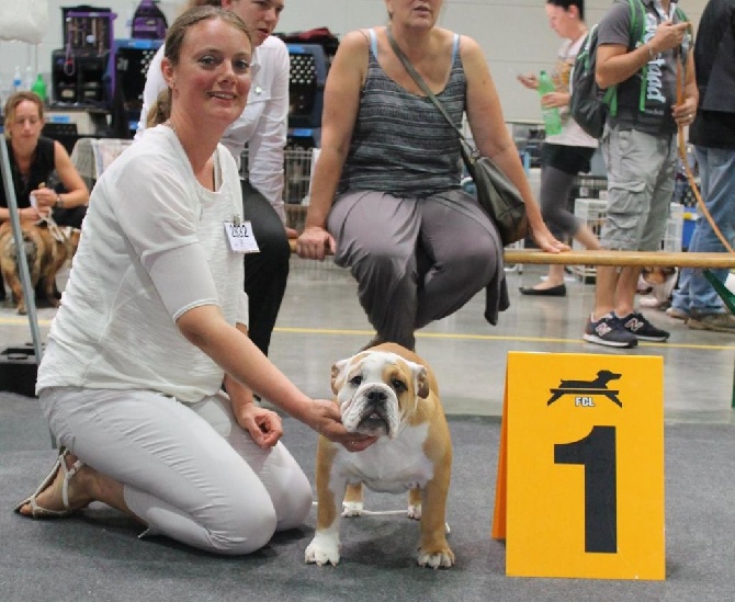 Tan'rei Bulls - Lady Godiva Best Baby Dog Show Luxembourg !