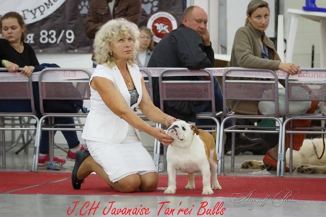 Tan'rei Bulls - 10 mois Javanaise Championne jeune de Russie !