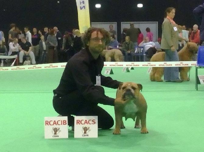 Tan'rei Bulls - RCACIB & RCACS pour Mystic à DOUAI !!!