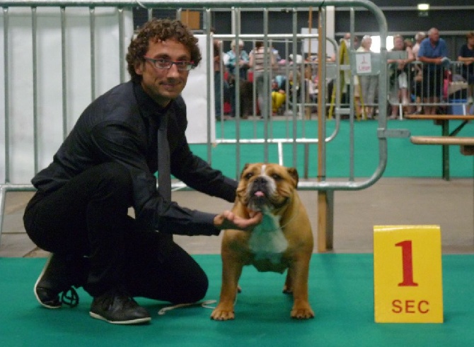 Tan'rei Bulls - GOLDEN DOG TROPHY à LIEGE
