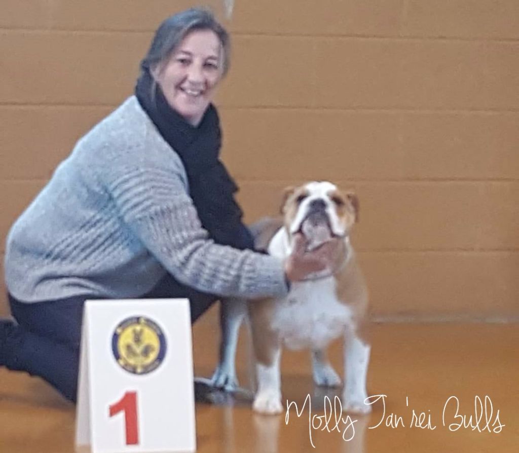 Tan'rei Bulls - MOLLY 1 ère Très Prommetteur & Meilleur de race à AMIENS