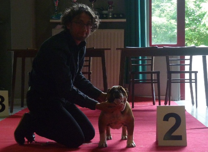 Tan'rei Bulls - Little Scarlett 2ème pour sa première Expo !