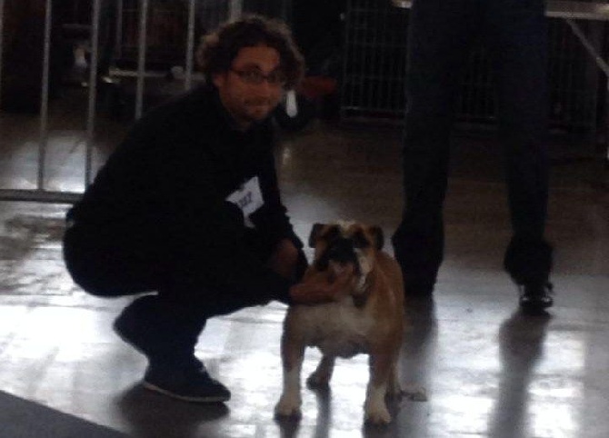 Tan'rei Bulls - Little Scarlett 2ème très prometteur à CHARLEROI le 4/10/15
